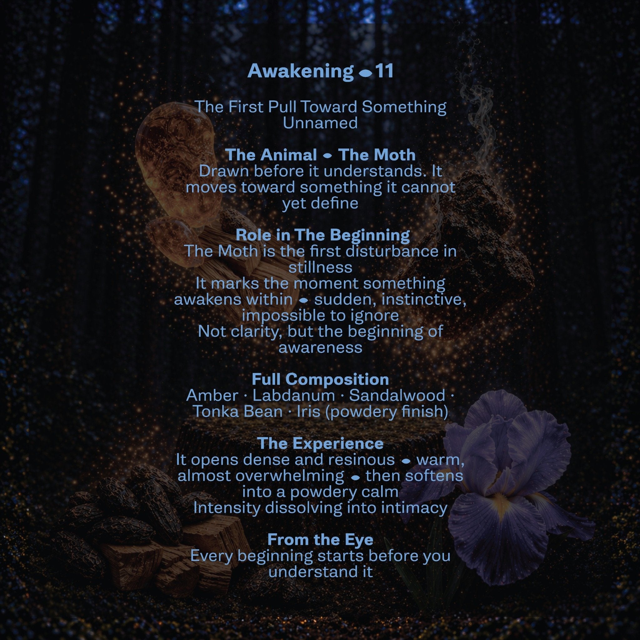 Awakening-11