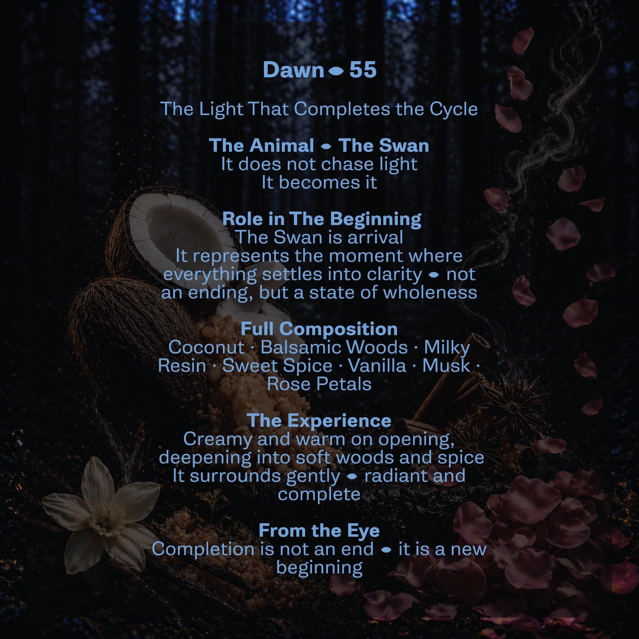 Dawn-55