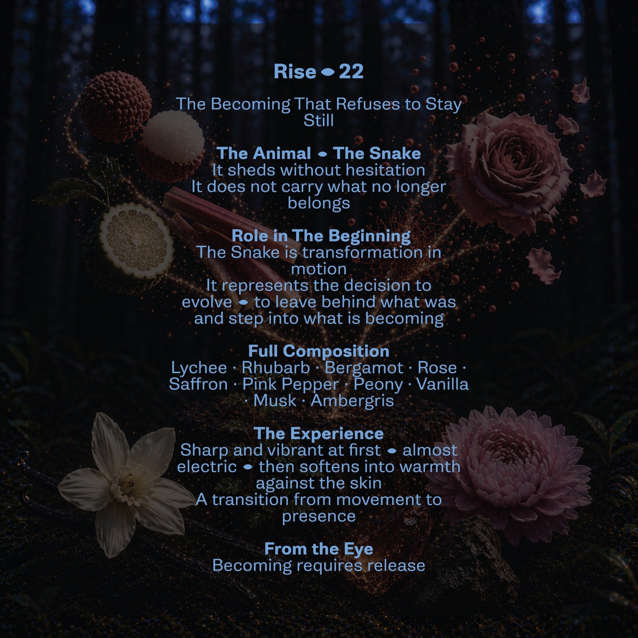 Rise-22
